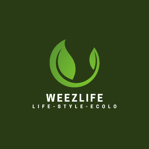 logo weezlife